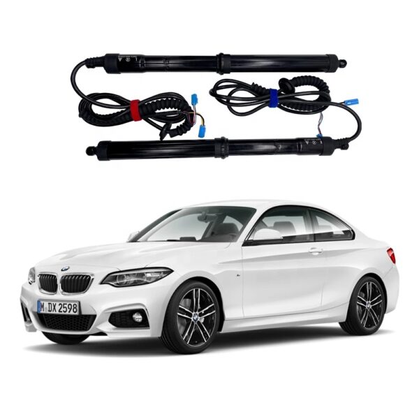 Sistema de apertura portón eléctrico para Bmw series 2 NV-B2S7 1